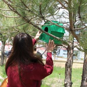 Şarkışlada kuş ve kediler için yuva etkinliği