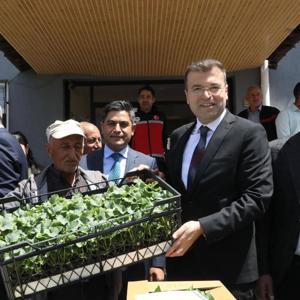 Ata tohum fideleri toprakla buluşuyor