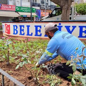 Akdeniz’de parklar çiçekle renkleniyor