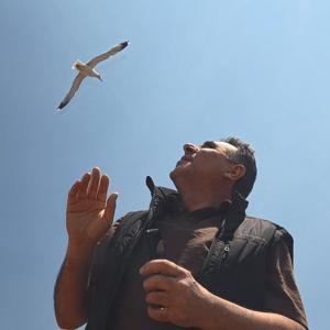 Zeytinburnunda anten tamiri için çatıya çıktı martıların saldırısına uğradı; Az kalsın çatıdan düşecektim