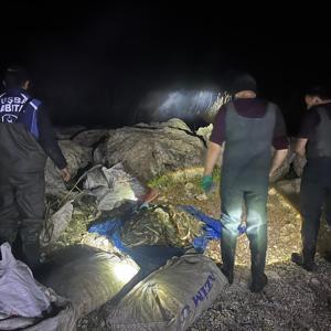 Vanda kaçak avlanan bir ton ölü inci kefali ele geçirildi