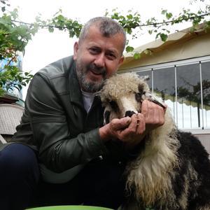 Özenle büyüttüğü kuzusu Abbas yoldaşı oldu