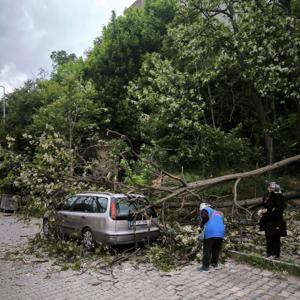 Tekirdağda kuvvetli rüzgarda ağaç otomobilin üzerine devrildi