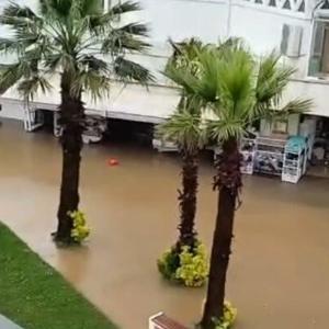 Düzcede sağanak; ev ve işyerlerini su bastı