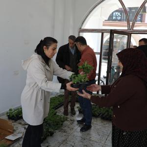 Tuşba Belediyesi’nden vatandaşlara ücretsiz fide desteği