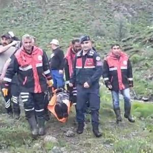 Mantar toplarken ayı saldırısında yaralandı
