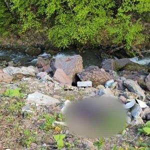 Dere kenarında bıçaklanarak öldürülmüş erkek cesedi bulundu