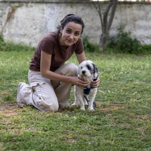 Mersin’de bin 927 can dost yeni yuvasına kavuştu