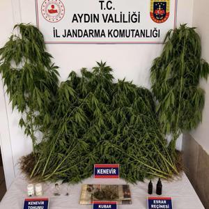 Evinde uyuşturucuyla yakalanıp, gözaltına alındı