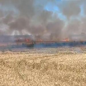 Edirne’de 6 dönüm buğday ekili alan yandı
