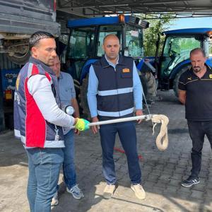 Vinçle kaldırılan otomobilin motor bölümündeki yılan çıkarıldı