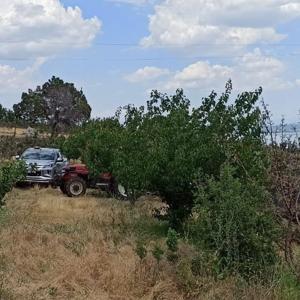 Zirai alan yangını büyümeden kontrol altına alındı