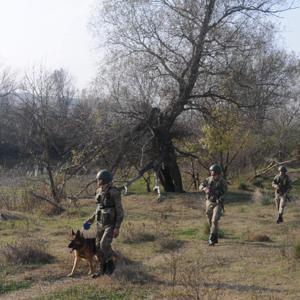 Edirnede 25 kaçak göçmen yakalandı