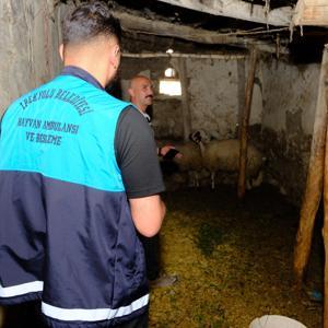 Van’da kuduz vakası sonrası mahalle karantinaya alındı