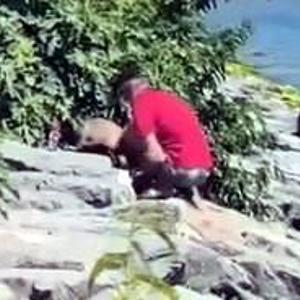 Avcılar Sahili’nde köpeğe şiddet kamerada