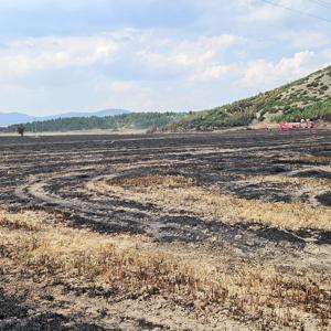 Ormana sıçrayan arazi yangını söndürüldü