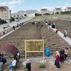 Vanlı kadınlar, belediye bostanında sebze yetiştiriyor