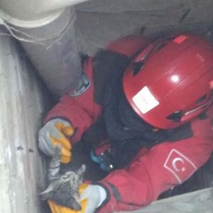 Havalandırma boşluğundaki boruya sıkışan 2 kediyi itfaiye kurtardı