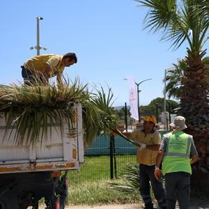 Kuşadasında yeşil alanlarda bakım ve düzenleme yapıldı