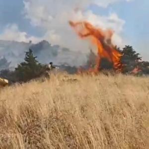 Bingöl’de ormanlık alanda çıkan örtü yangını söndürüldü