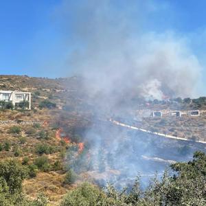 Bodrumda otluk ve makilik alanda yangın