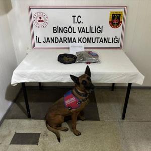 Bingölde aranan 4 firari hükümlü yakalandı