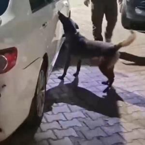 Sakaryada uyuşturucu operasyonu: 2 tutuklama