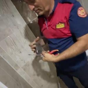 Havalandırma boşluğunda mahsur kalan sığırcık kurtarıldı