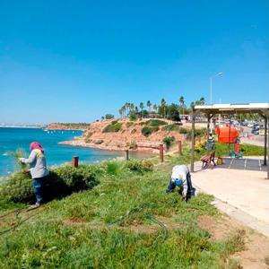 Didim Belediyesi kent genelinde bakım çalışmalarını sürdürüyor