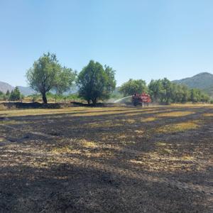 Yangında tarla ve ağaçlar zarar gördü