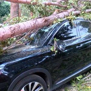 Beykozda fırtına nedeniyle ağaç, park halindeki cipin üzerine devrildi