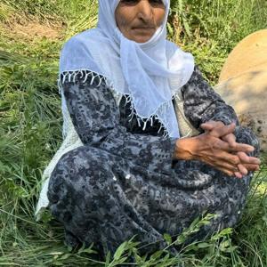 Hakkaride merada otlayan ineğinin telef olduğunu gören kadın üzüntü yaşadı
