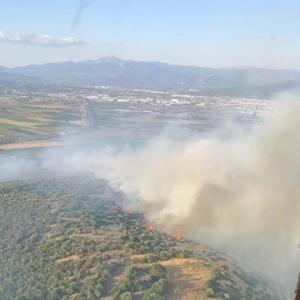 İzmir’de orman yangını