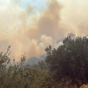 Çanakkalede arazi yangını