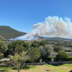 İzmir Foçada orman yangını