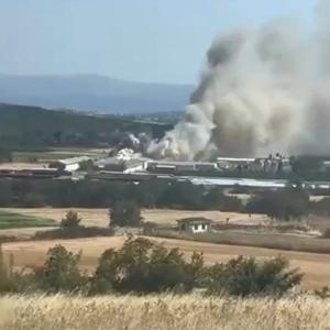 Bursada tavuk çiftliğinde yangın