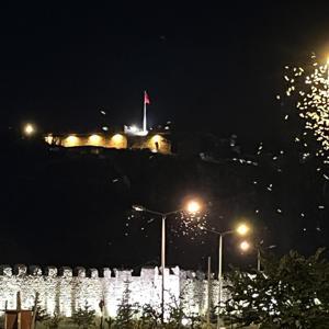 Kelebeklerin ölüm dansı görüntülendi