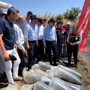 İpsala’da gölete 2 bin yavru sazan balığı bırakıldı