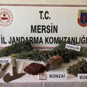Mutta uyuşturucu operasyonunda tutuklama