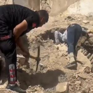 Nusaybin’de metruk ev çöktü; 5 yavru köpek ve anneleri kurtarıldı