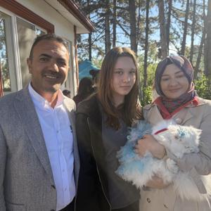 Tokatta kediler güzellik yarışmasında podyuma çıktı