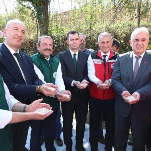 Coğrafi işaretli şeker fasulyesinde üretim hedefi büyüyor