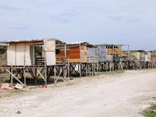 Deniz kaplumbağalarının yerini işgal eden çardaklar yıkılıyor