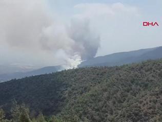 Hatay Antakyada orman yangını
