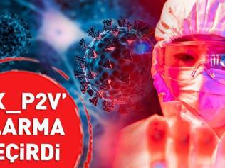 Koronavirüs çalışması bilim dünyasını ayağa kaldırdı Yüzde 100 ölümcül… “Geç olmadan durdurulmalı”