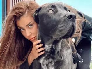 Ünlü fenomenin köpeği dehşet saçtı Banu Parlaktan iddialara yanıt: Beni neredeyse katil pozisyonuna sokmaya çalıştılar