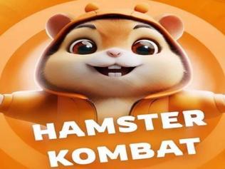 🐹HAMSTER KOMBAT GÜNLÜK ŞİFRE 3 EYLÜL 2024 Hamster Kombat günlük kombo kartları