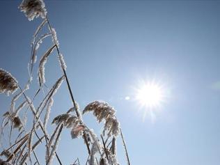 Meteorolojiden azot dioksit gazı açıklaması