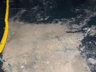 Çanakkalede bazı balıkçılar, müsilaj nedeniyle av sezonunu erken kapattı