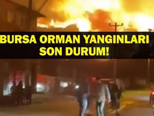 SON DAKİKA BURSA ORMAN YANGINI: Bursa Orman Yangınında Son Durum Ne Gürsu, Kestel Orhaneli, Osmangazi Orman Yangınları Kontrol Altına Alındı Mı